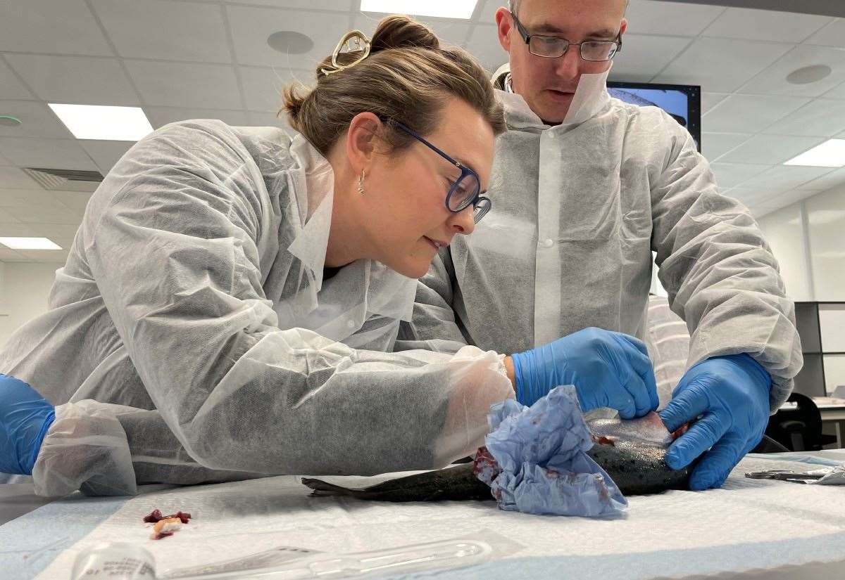 Inverness Veterinary Centre Opens Doors for Public Insight